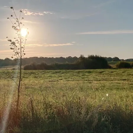 Nasy Holliday Holiday home