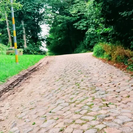 Nasy Holliday Biskupiec (Olsztyn)