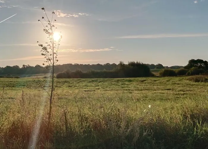 Nasy Holliday Holiday home