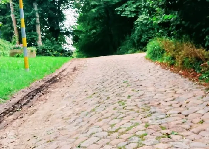 Nasy Holliday Biskupiec (Olsztyn)